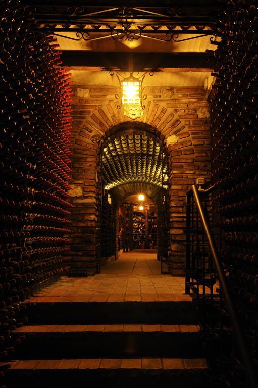 Fattoria Paradiso Bertinoro Luaran gambar