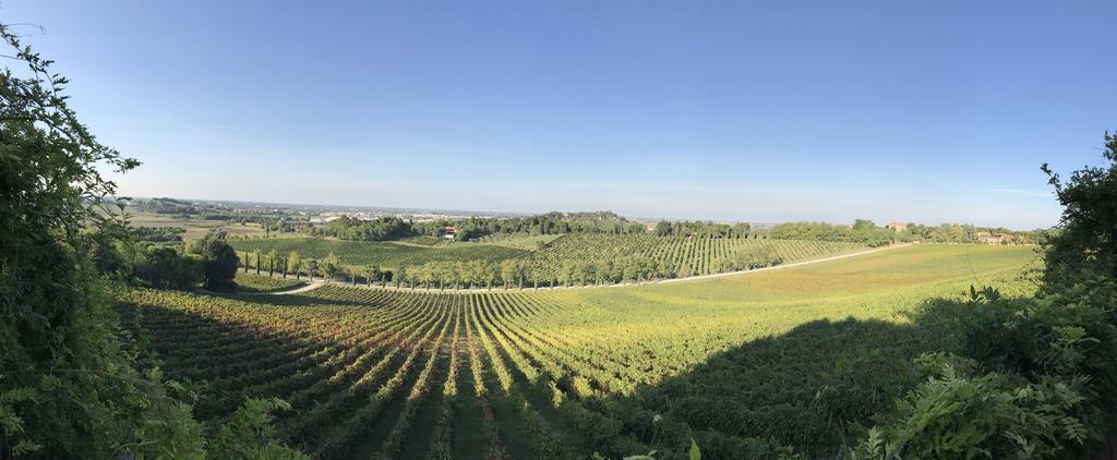 Fattoria Paradiso Bertinoro Luaran gambar
