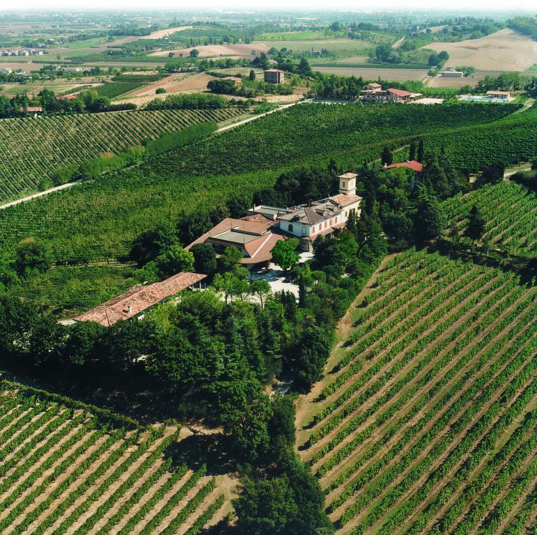 Fattoria Paradiso Bertinoro Luaran gambar